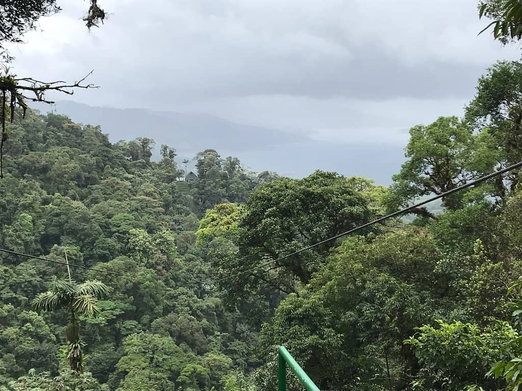 Hanging Bridges Walk