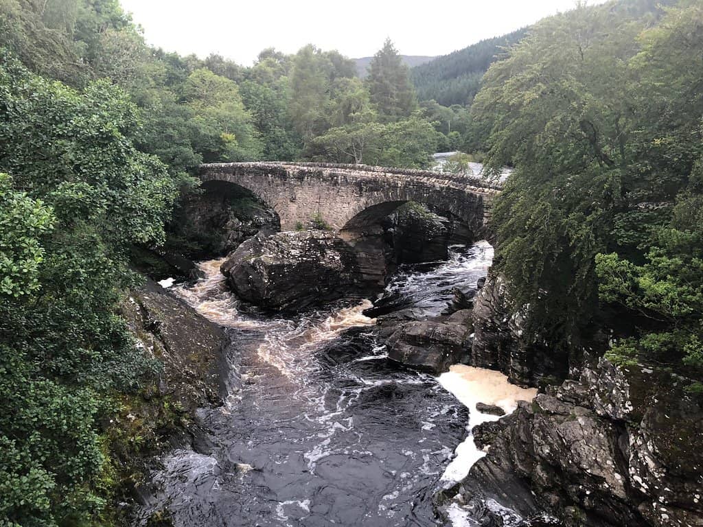 Vertical photo