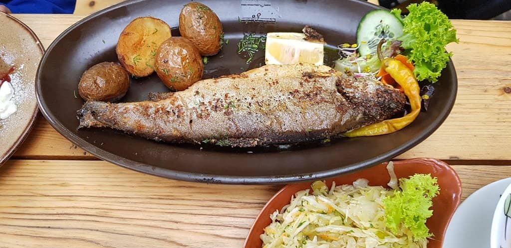 Cozy Highland Ambiance