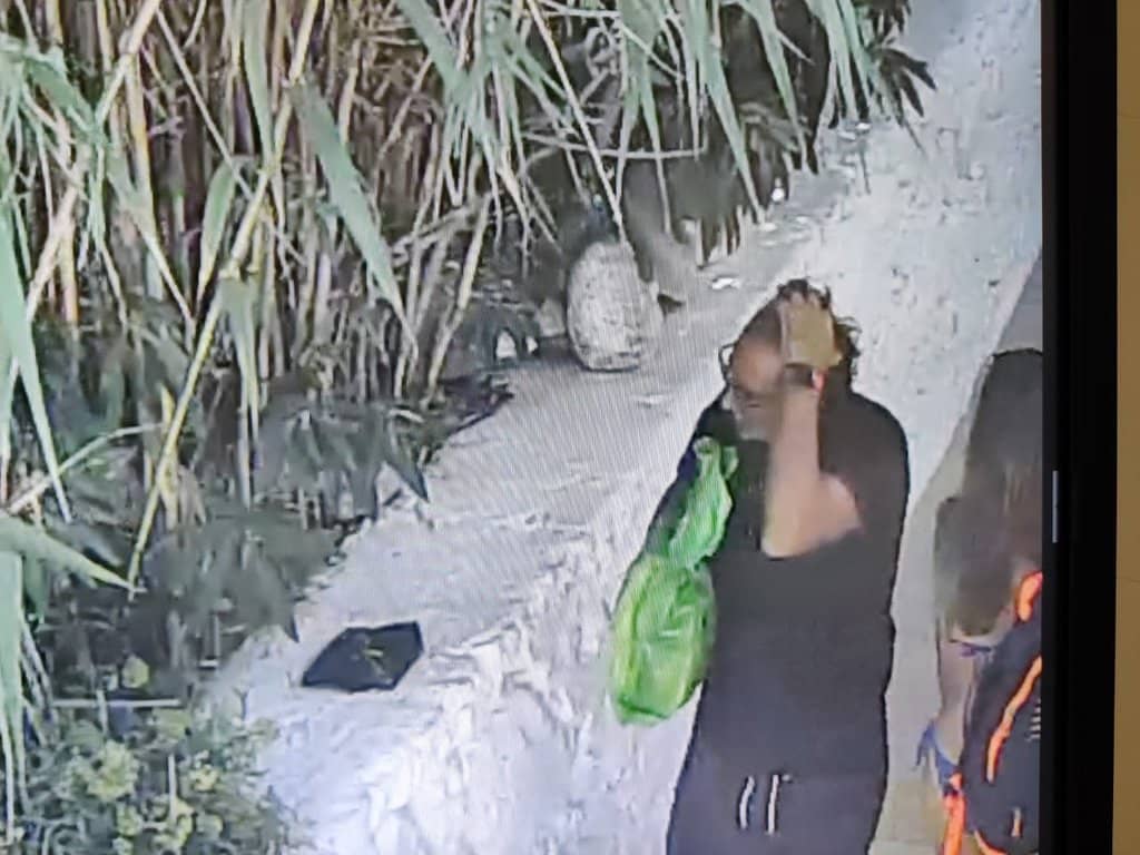 Seafood Delights with Aegean Views