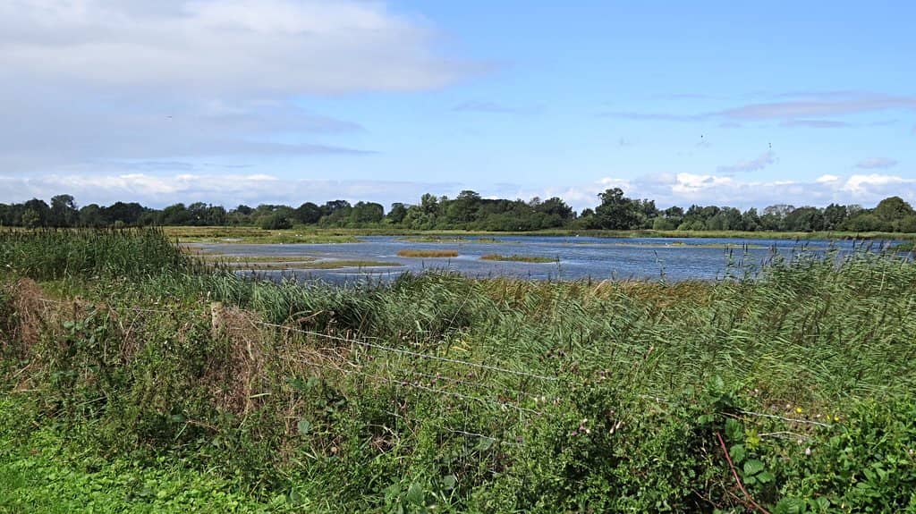 Stunning Wildlife Sightings