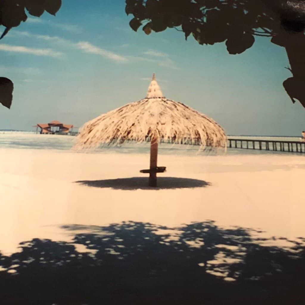 Vertical photo