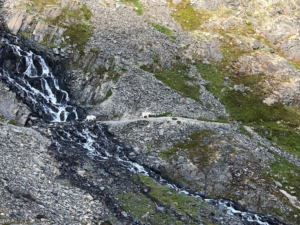 Eagle River Crossing