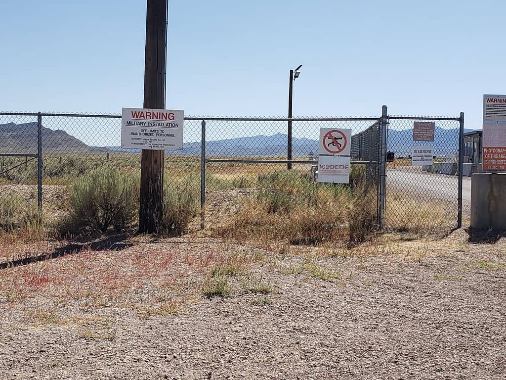 Spotted Eagle Ray Encounter