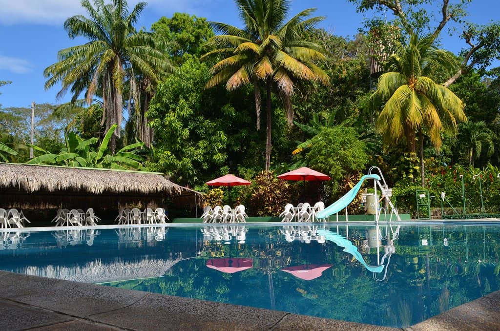 Lion and Tiger Encounters