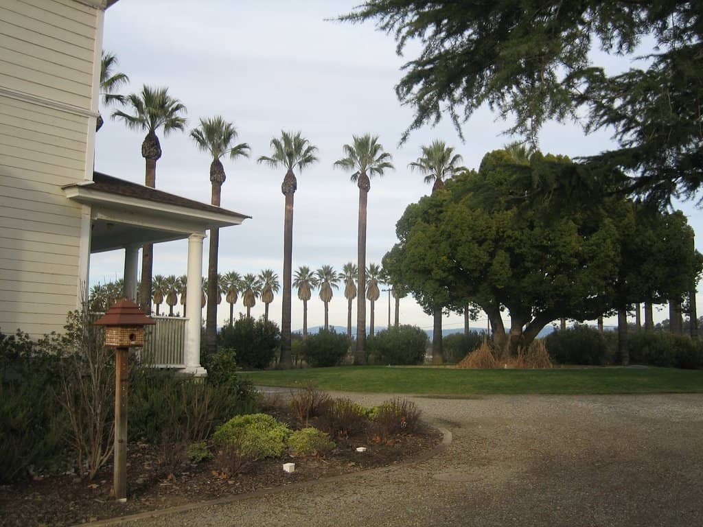 Vertical photo