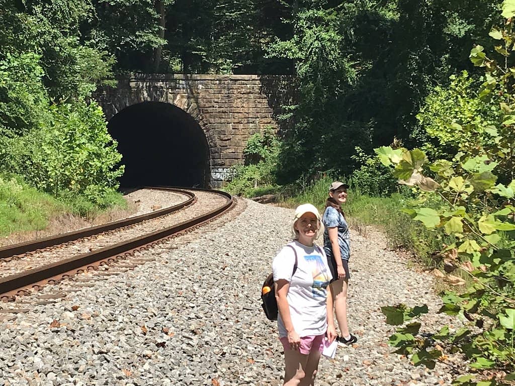 Panoramic Ellicott City Views