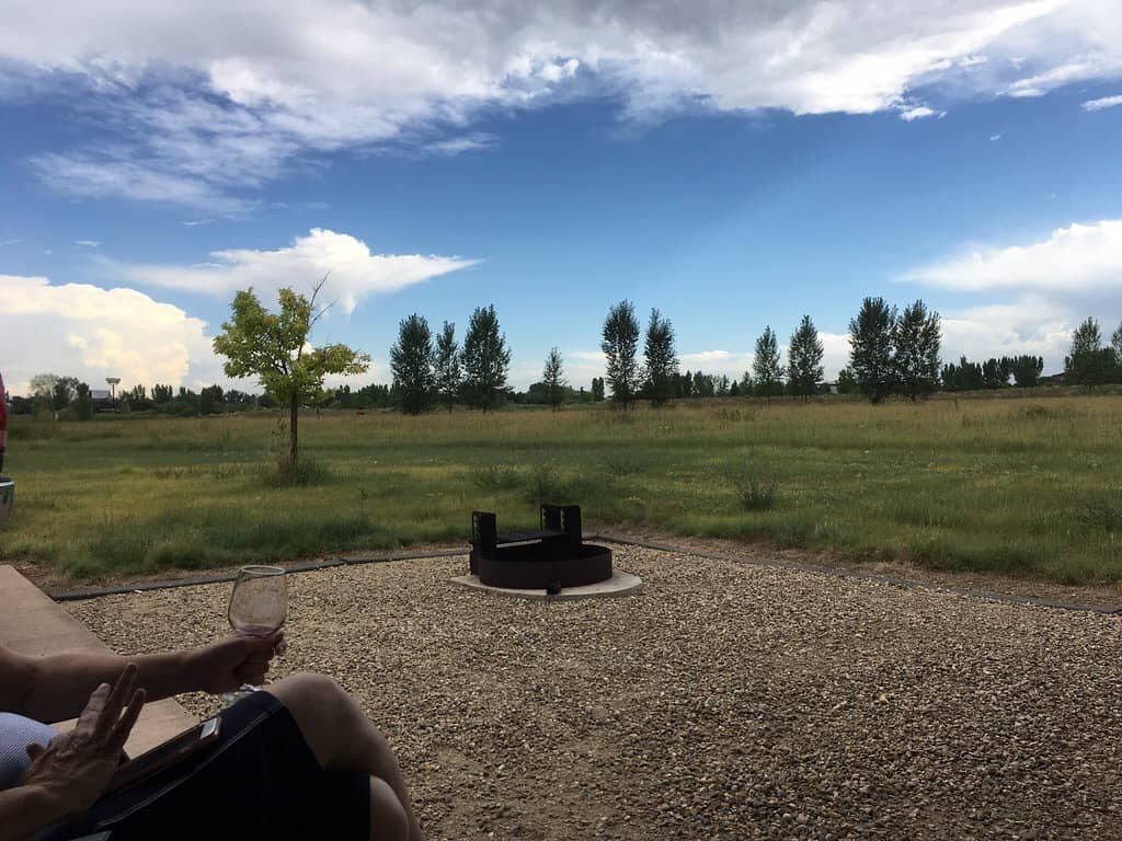 Wildlife Viewing