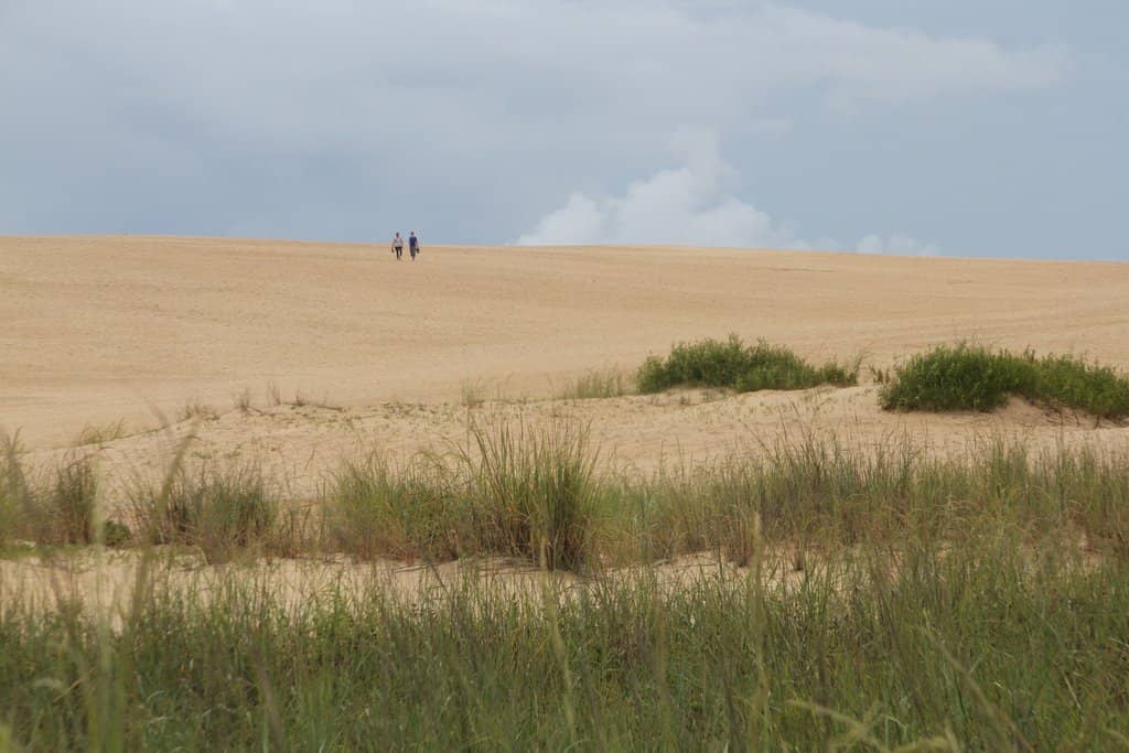 Hang Gliding Adventures