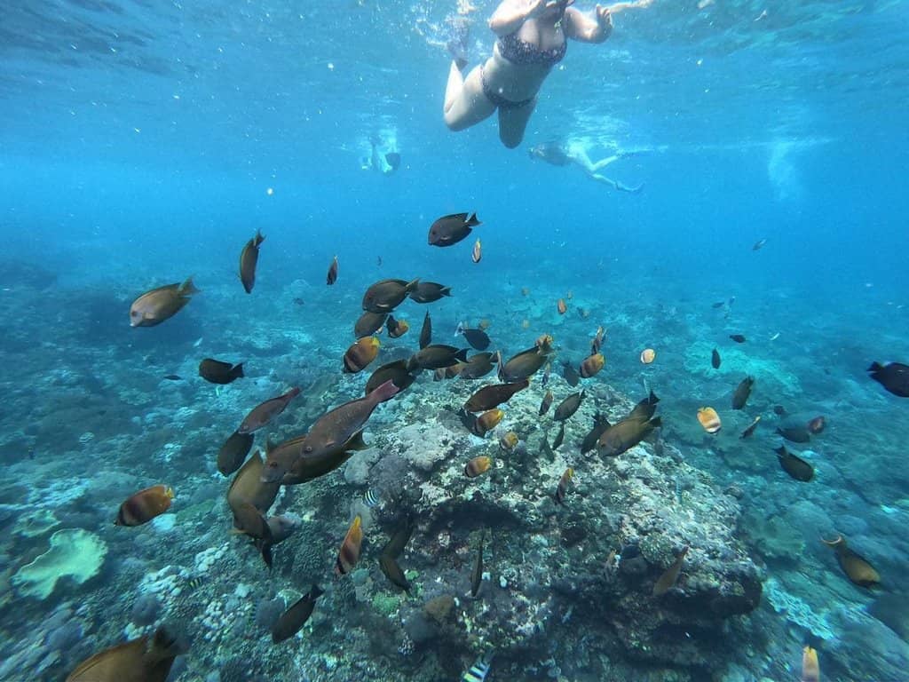 Electric Turquoise Waters