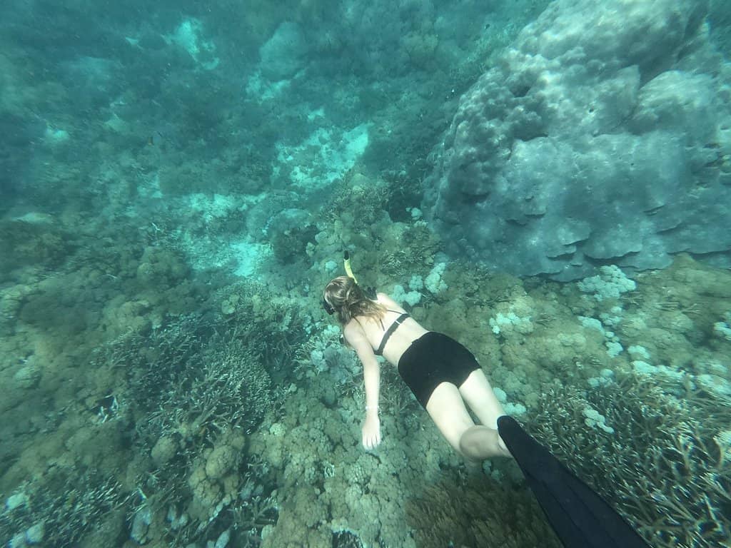 Vertical photo