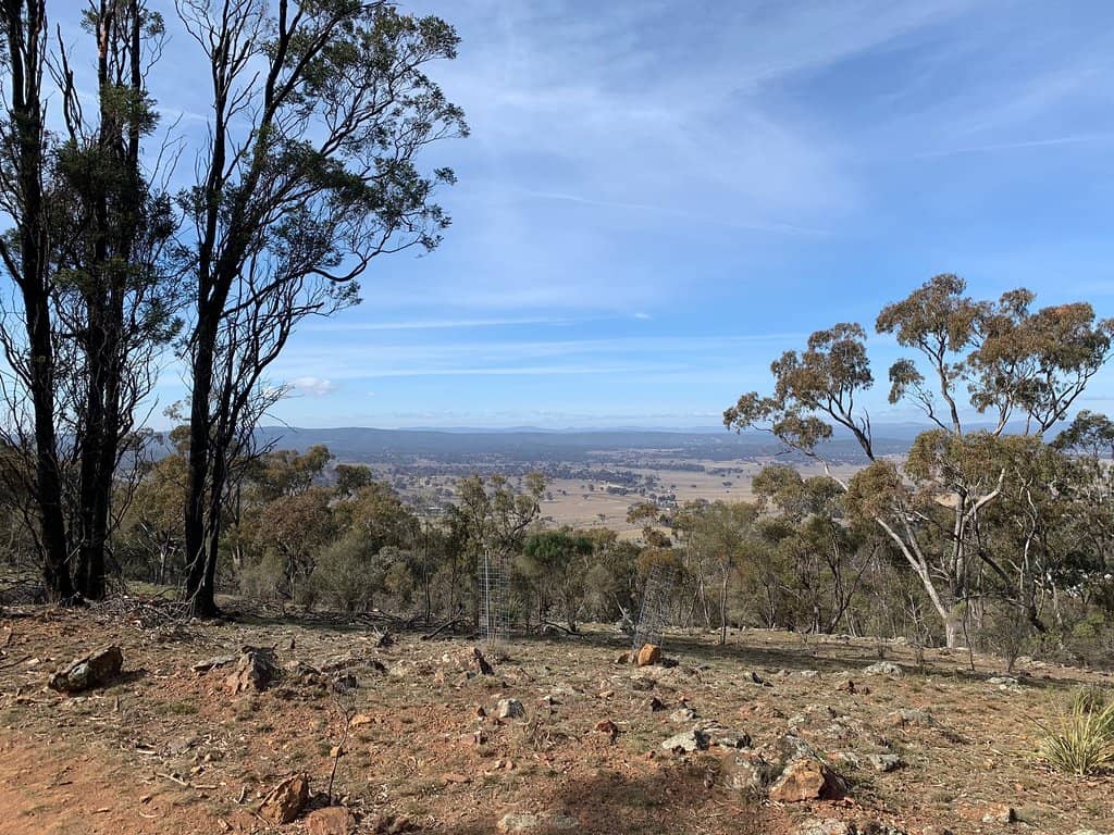 Summit Views