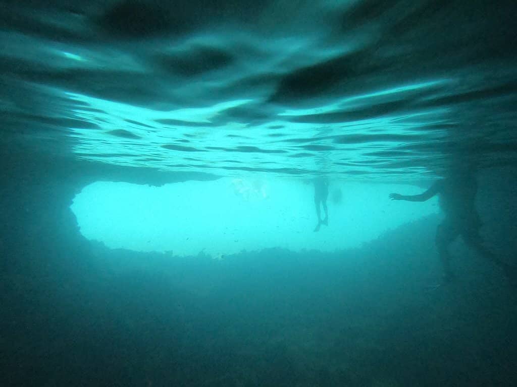 Vertical photo
