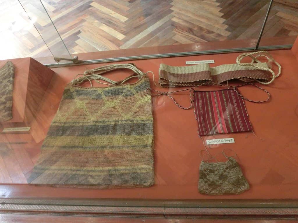 Fossils and Prehistoric Life