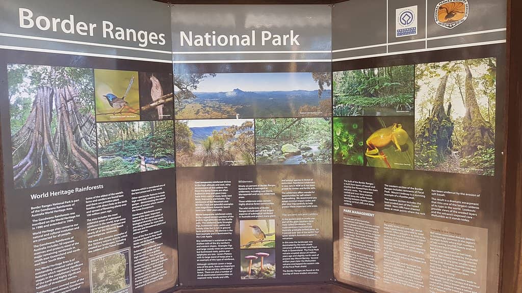 Wildlife Encounters