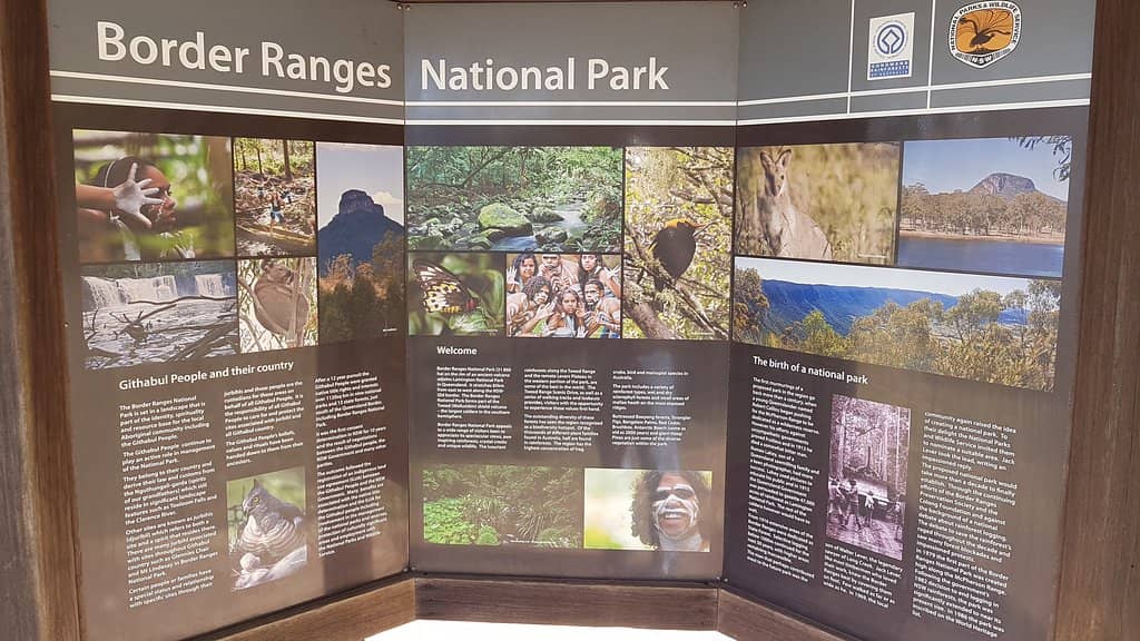 Rainforest Walking Trails