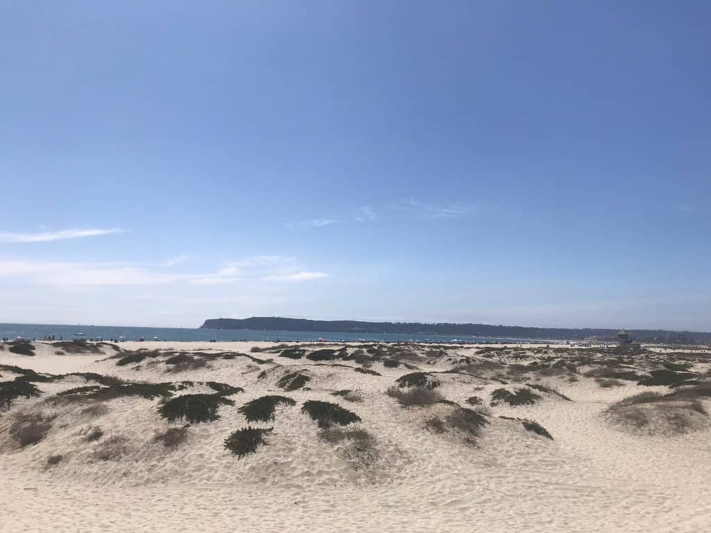 Beach Volleyball & Shells