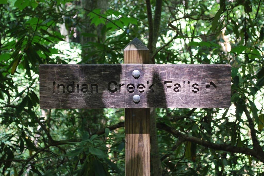 Dog-Friendly Trails