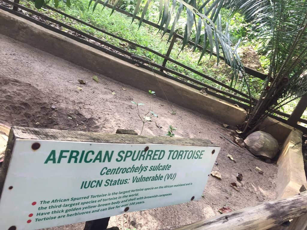 Lekki Urban Forest