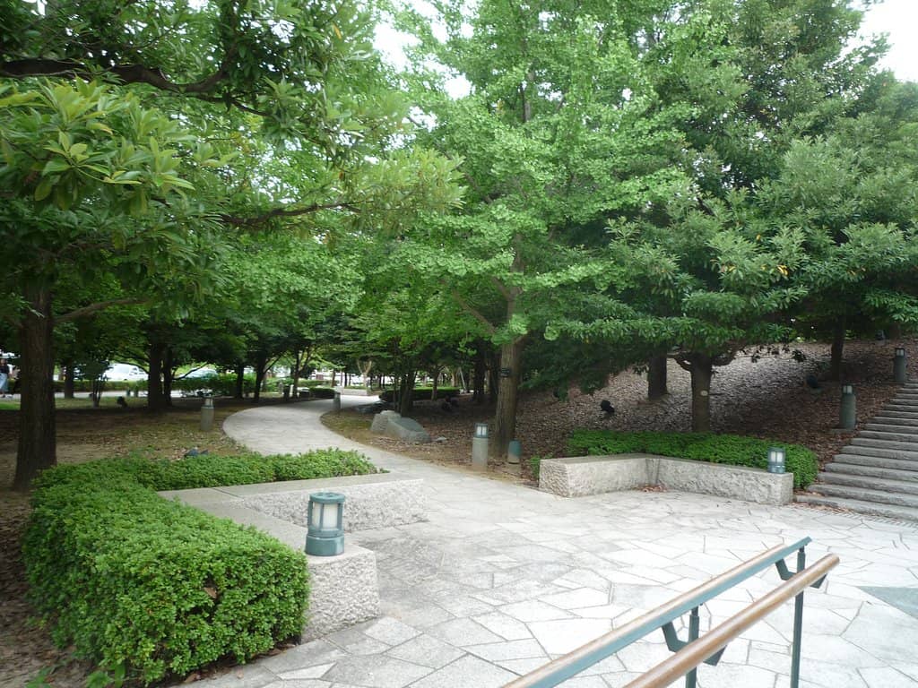 Vertical photo