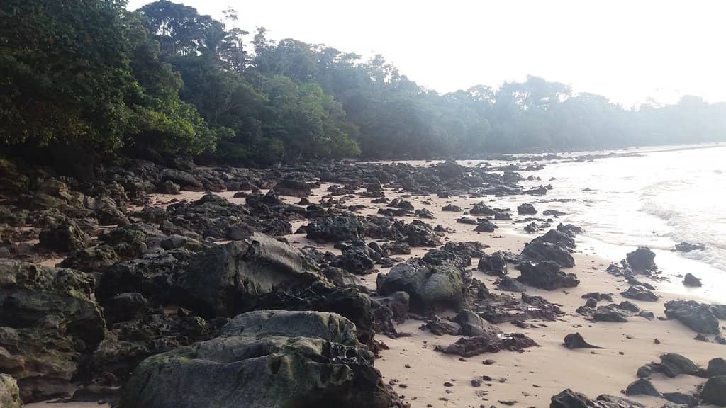 Praia do Vai Quem Quer