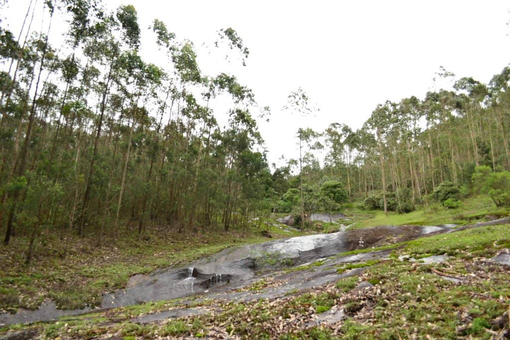 Historical Significance