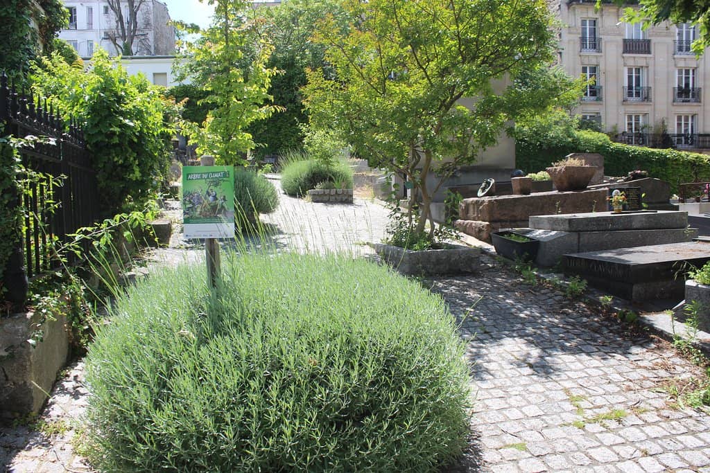 Michou's Vibrant Legacy