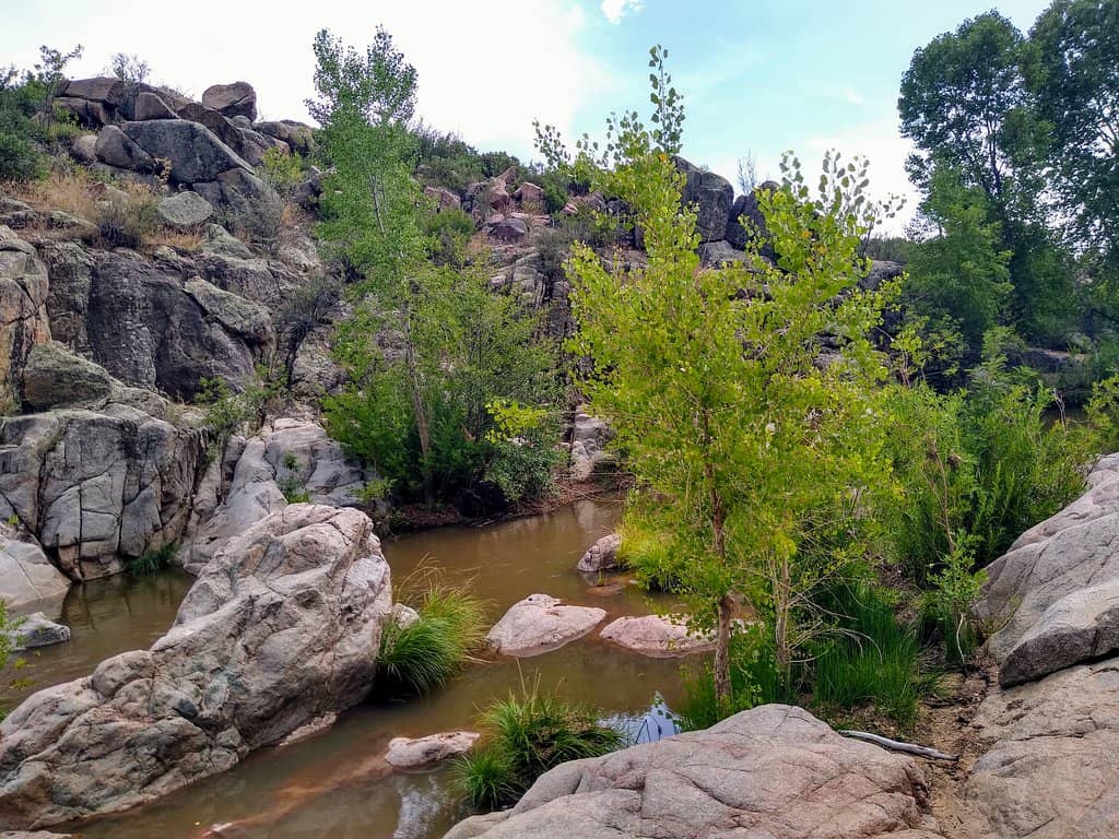 Ellison Creek Confluence