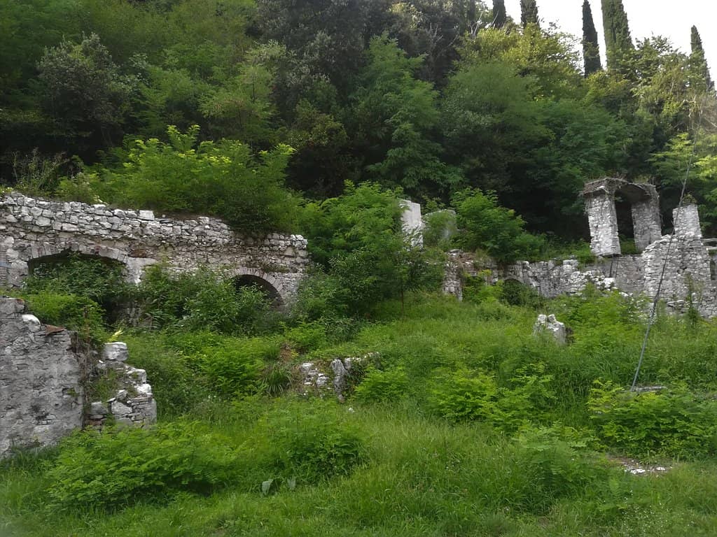 Vertical photo