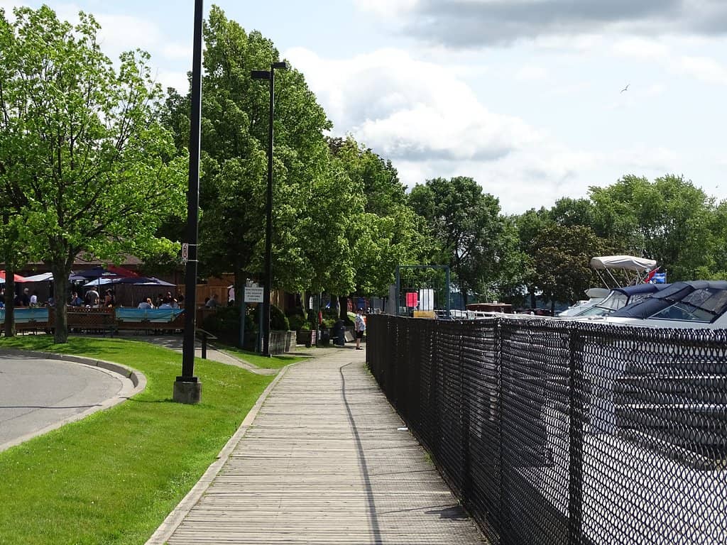 Horse & Carriage Rides