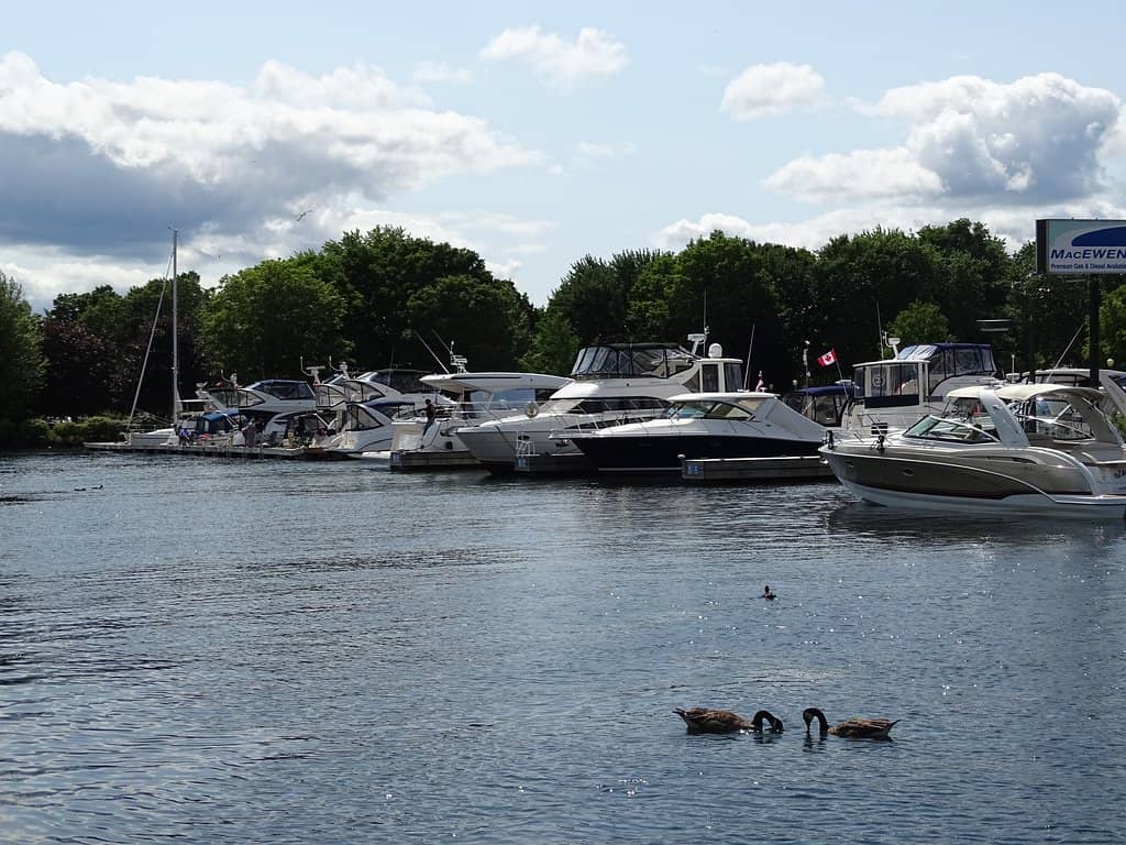 St. Lawrence River Sunsets