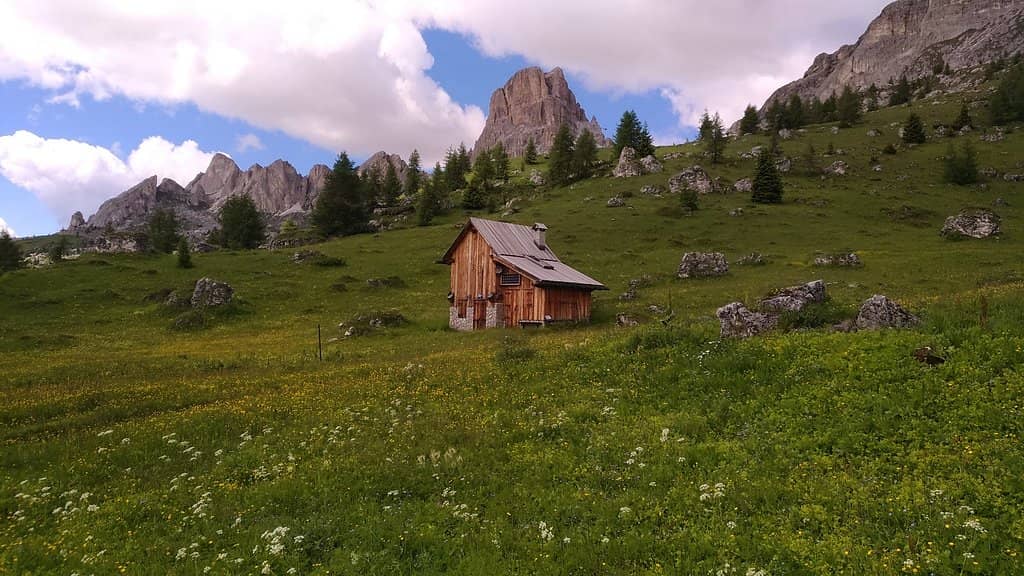 The Iconic Snake Road