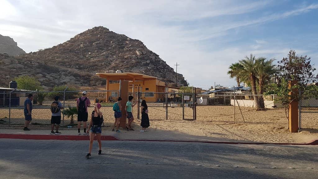 Enrique's Spiritual Guidance