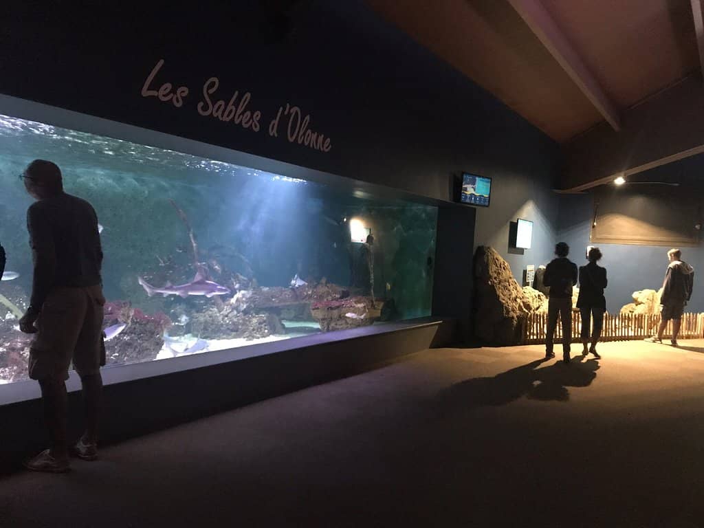 Indo-Pacific Wonders