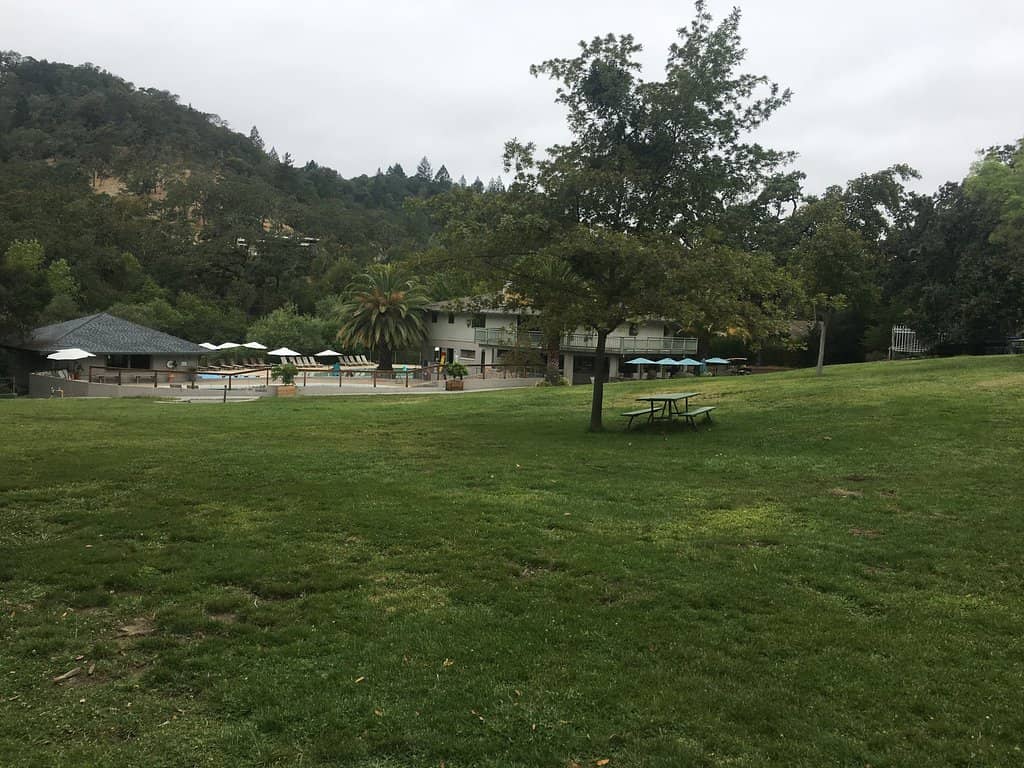Sonoma Creek Dip