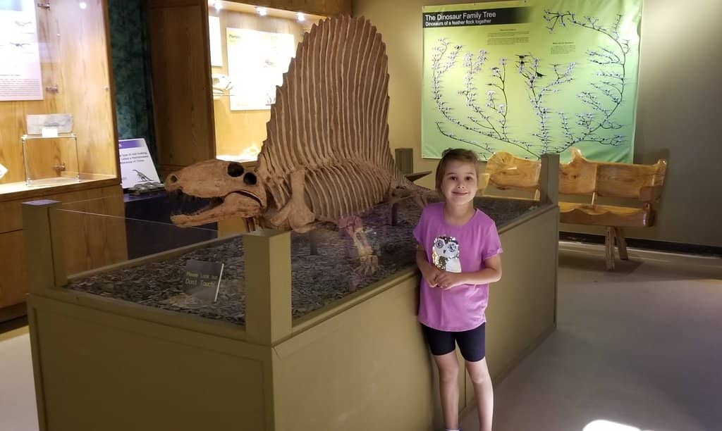 Early Life Fossils