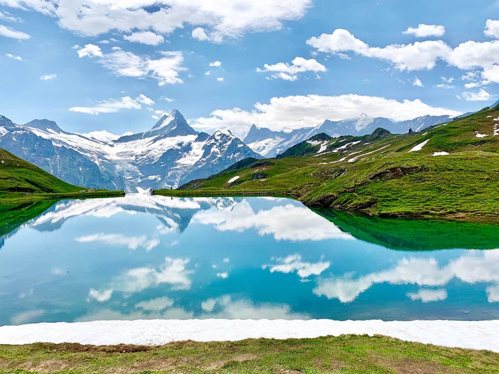 Alpine Meadow Scenery
