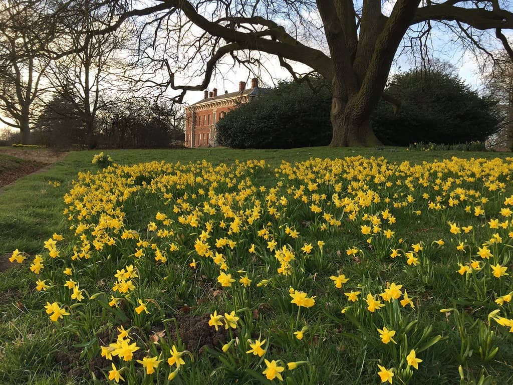 Mediterranean Garden