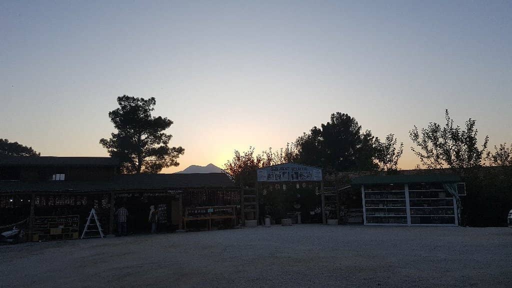 Adventure Activities