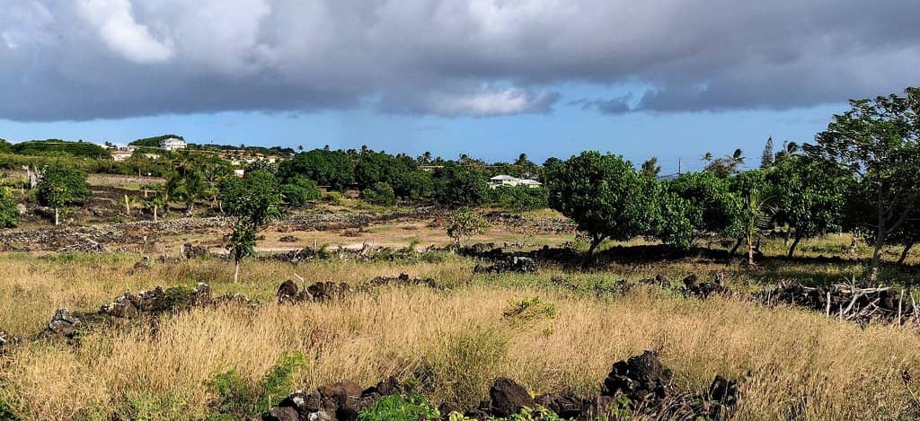Restored Temple Structures