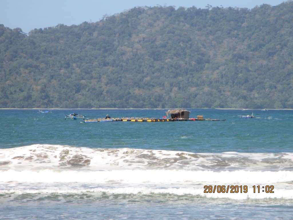 Turtle Nesting Site