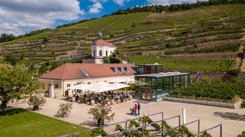 Vineyard Hike & Wine Tasting