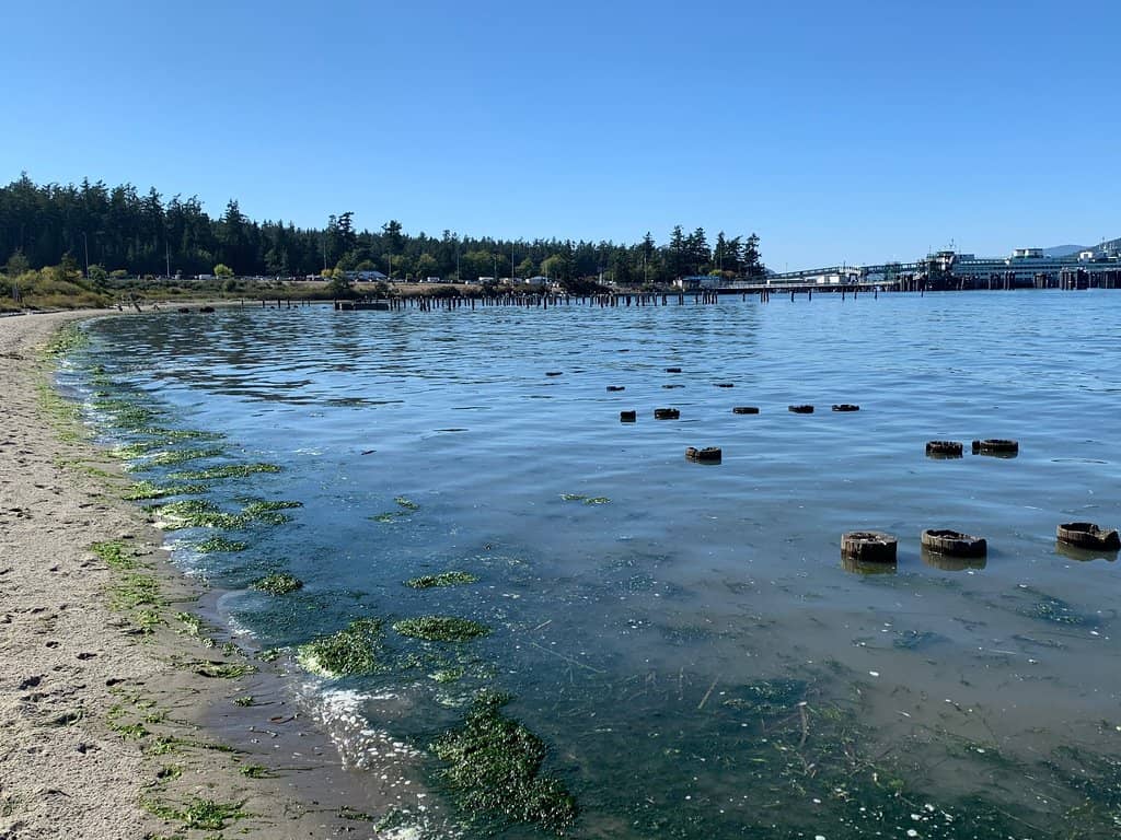 Anacortes Waterfront