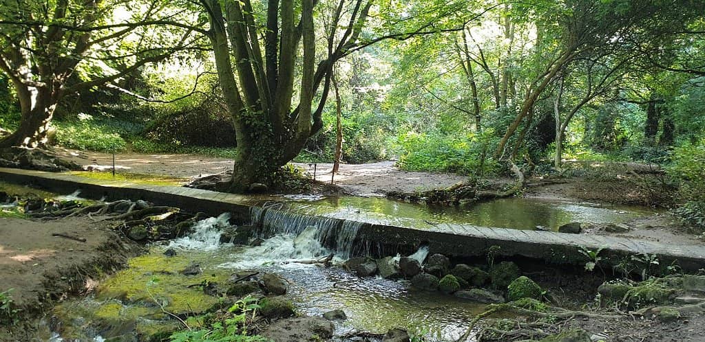 Hidden Caves and Tunnels