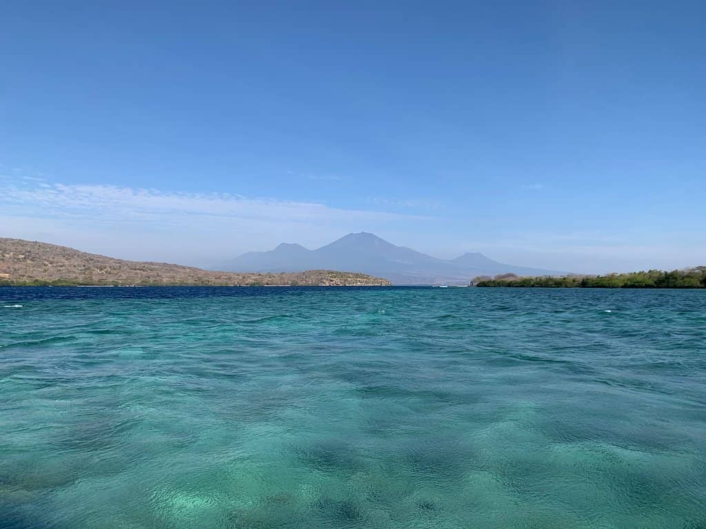 Javan Rusa Deer Spotting