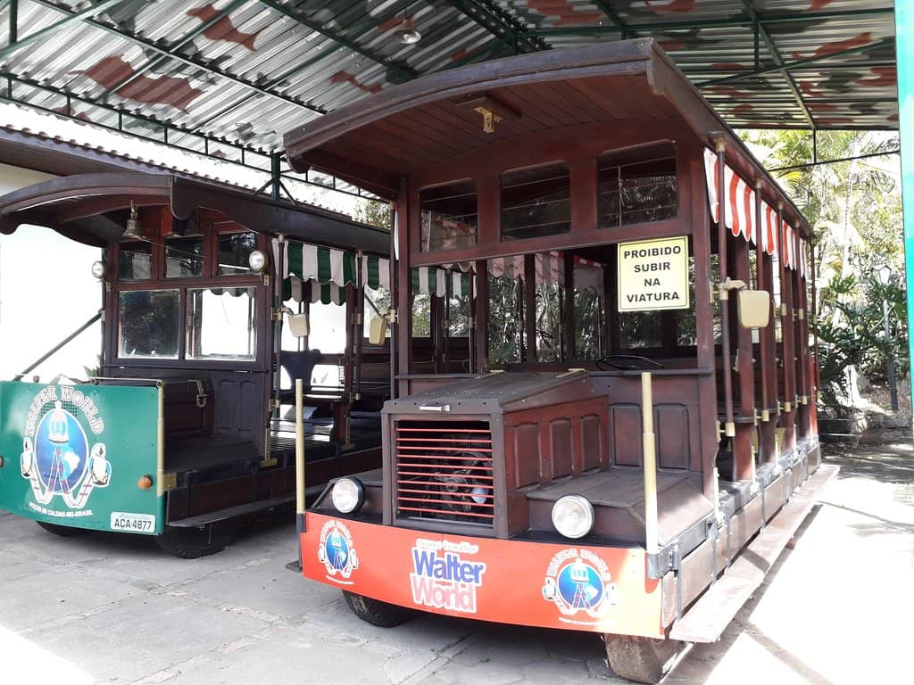 Roller Coaster Thrills