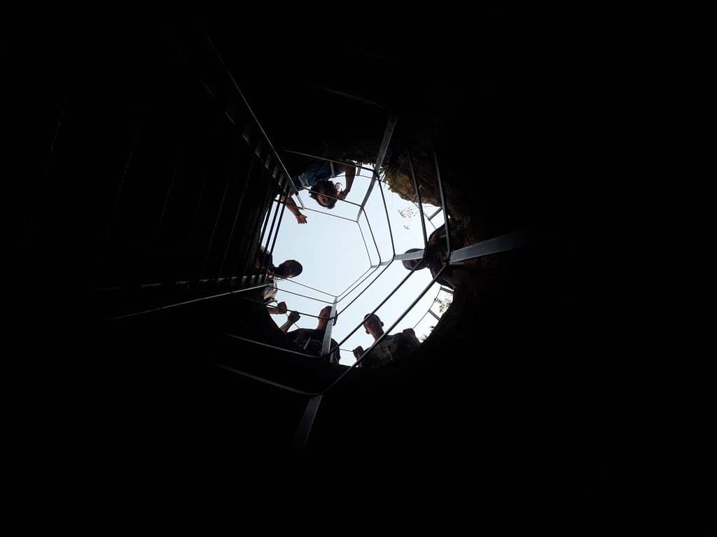 Vertical photo