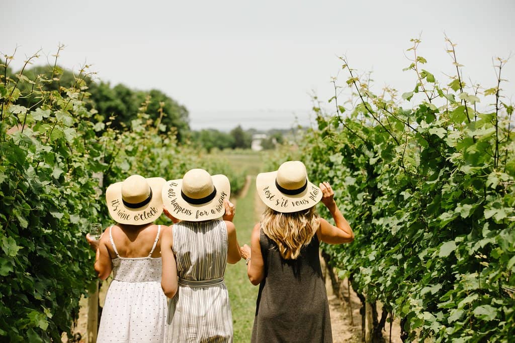 Scenic Vineyard Views