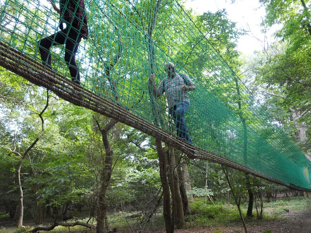 Formal Gardens & Knot Garden