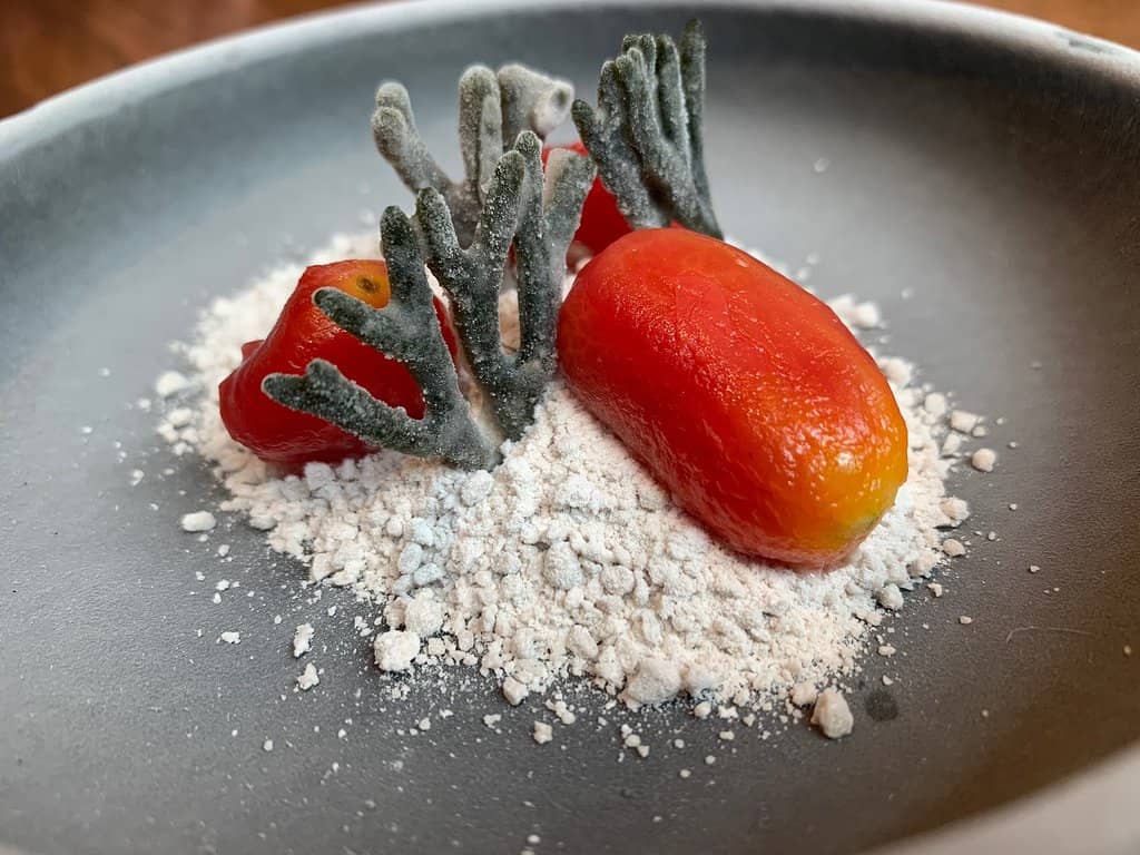 Commitment to Sustainability